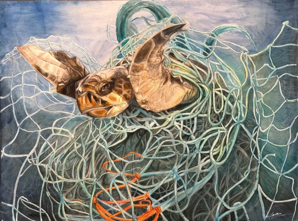 Bycatch