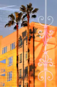 California Dreaming