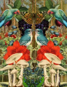 Maximalist