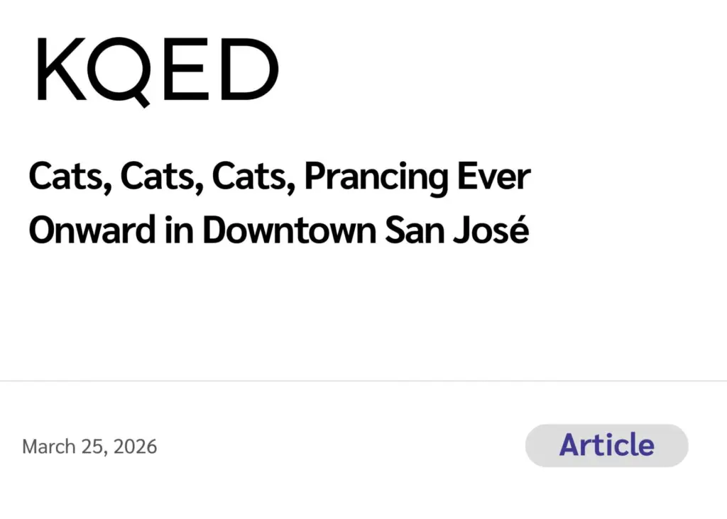 KQED (Article) Cats, Cats, Cats, Prancing Ever Onward in Downtown San José
