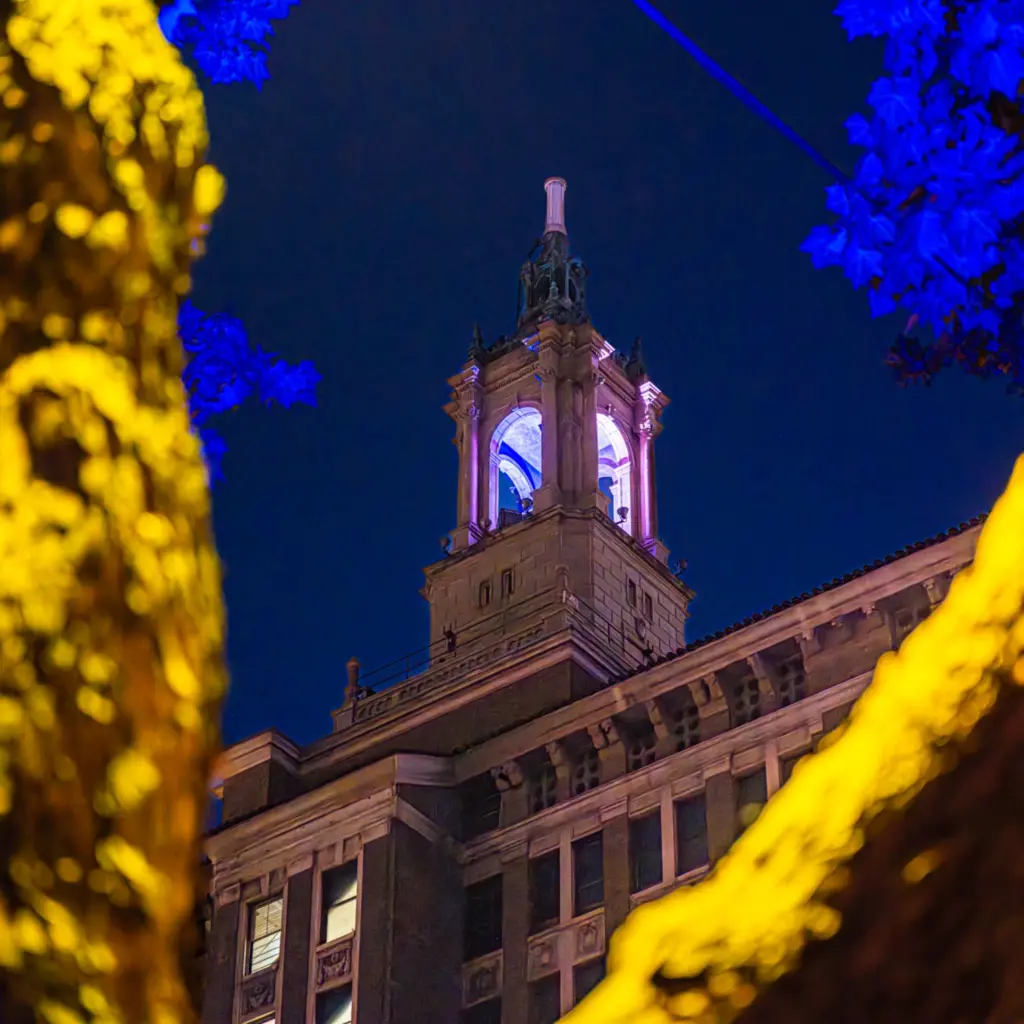 Bank of Italy Building (Coppola Lighting)