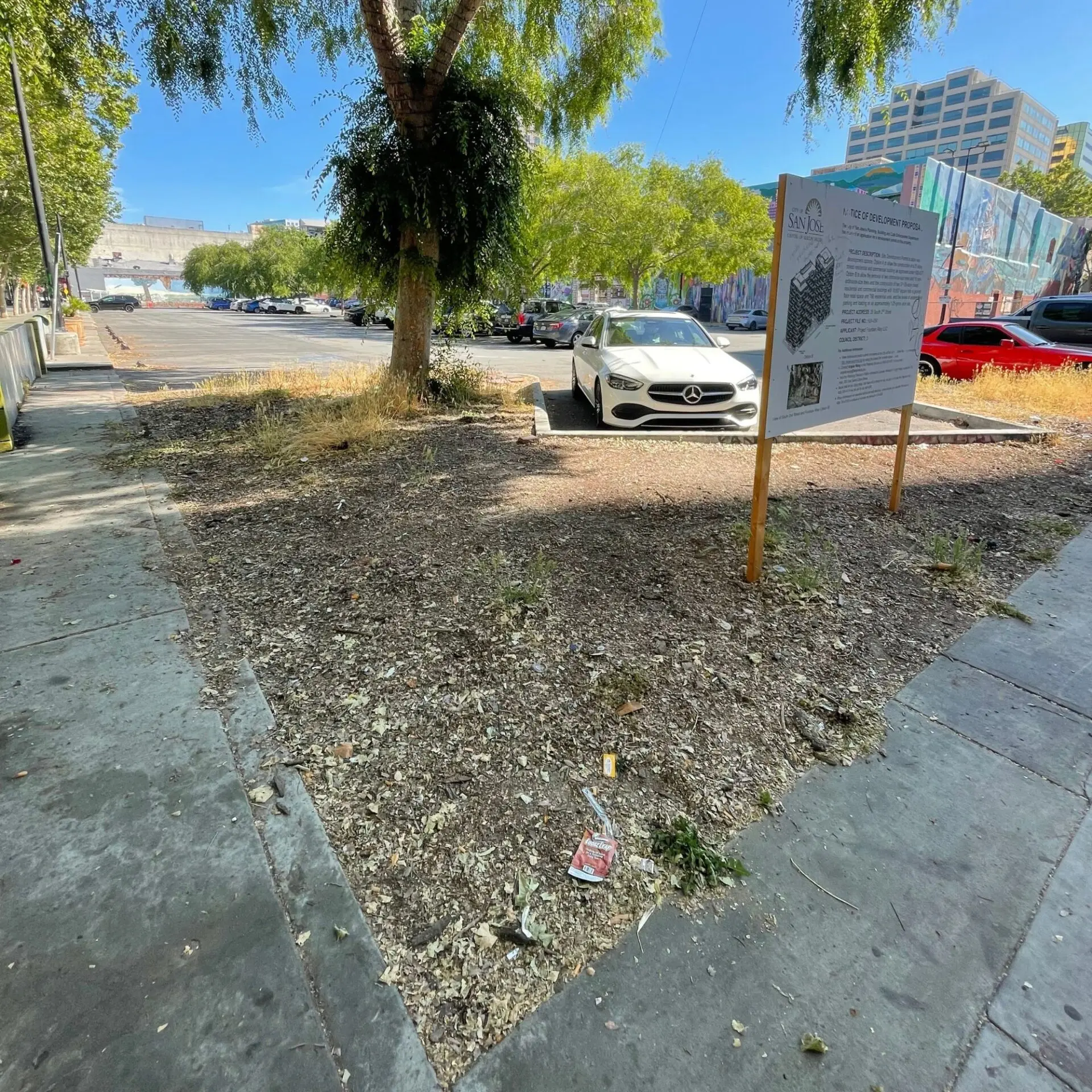 Fountain Alley Landscaping Before