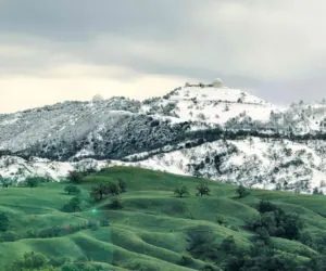 Where Winter Forgets the Valley